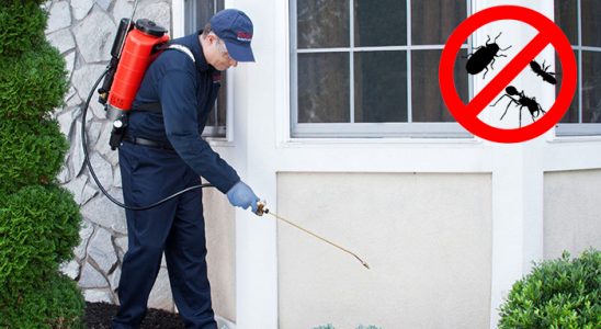 Yağlıdere Hamam Böceği İlaçlama böcek ilaçlama ve haşere kontrolü — ilaclama-tr.com